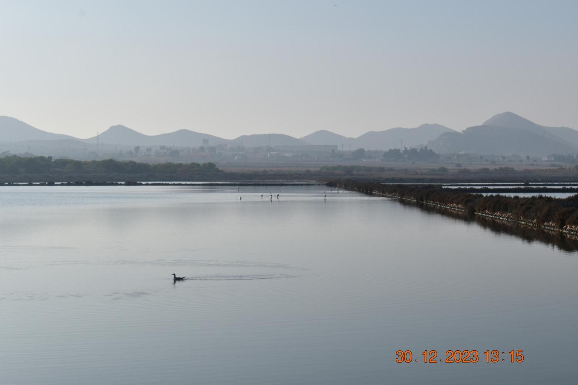 Apart Turisticos Marine Rest La Manga Mar Menor Piscinas Privadas Playa Paraiso  エクステリア 写真