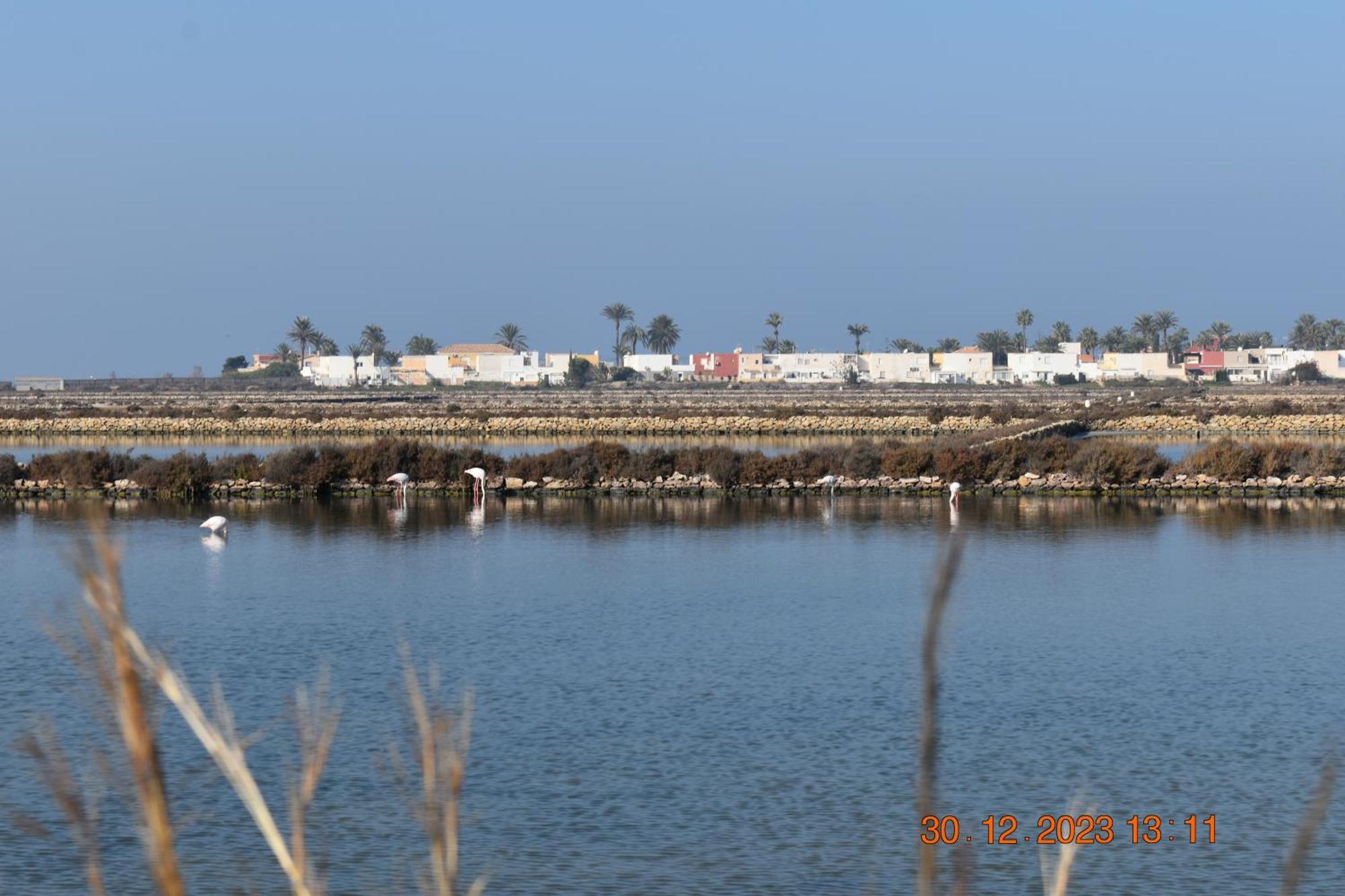 Apart Turisticos Marine Rest La Manga Mar Menor Piscinas Privadas Playa Paraiso  エクステリア 写真