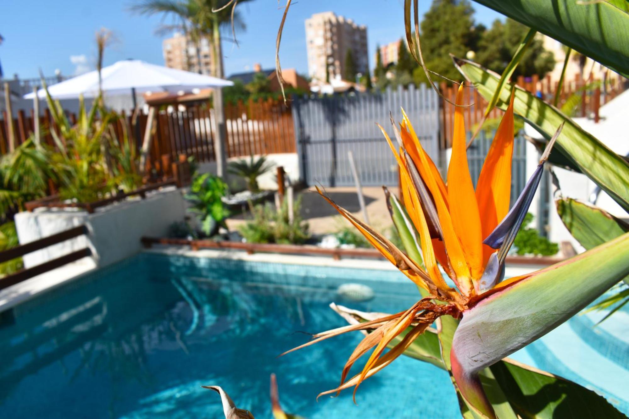 Apart Turisticos Marine Rest La Manga Mar Menor Piscinas Privadas Playa Paraiso  エクステリア 写真